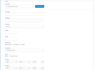 ACF Aspect Ratio Plugin: General Admin Settings