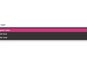 ACF Aspect Ratio Plugin: Crop Type Dropdown Options