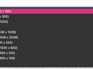 ACF Aspect Ratio Plugin: Preview Size Dropdown Options