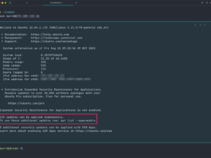 CLI: Login to Server