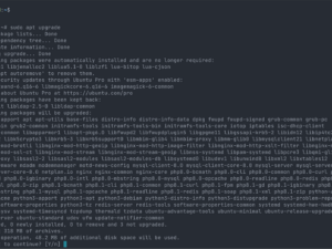 CLI: 'sudo apt upgrade' Command