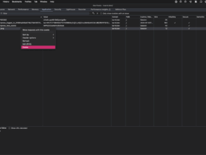 Google Chrome Inspector - Application Panel - Cookies